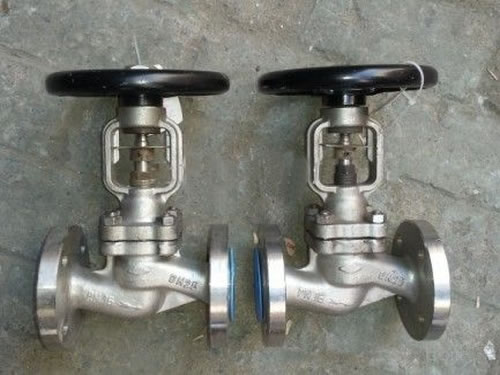 API Flanged Stainless Steel Bellows Seal Globe Valve