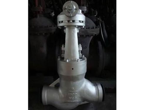 DIN Pressure Seal Globe Valve