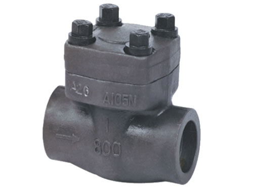 Socket soudés en acier forgé Clapet anti-retour