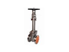 API Flens RVS balg Seal Gate Valve