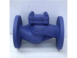 DIN Cast Steel Lift Type Check Valve