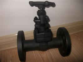 Flange Forged Steel Globe Valve